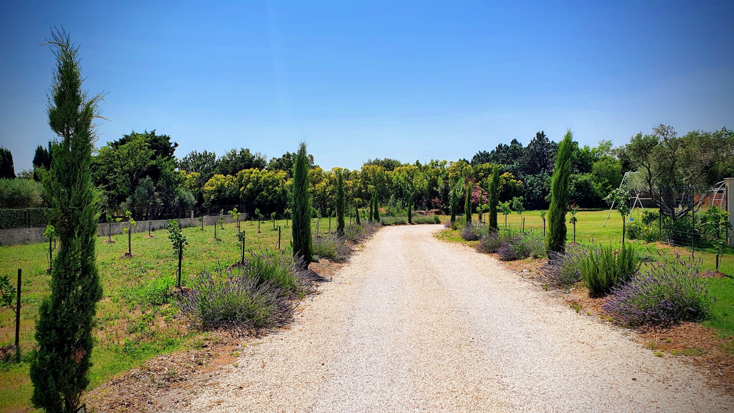Chemin d’accès du Domaine Le Platanium Réception en Provence
