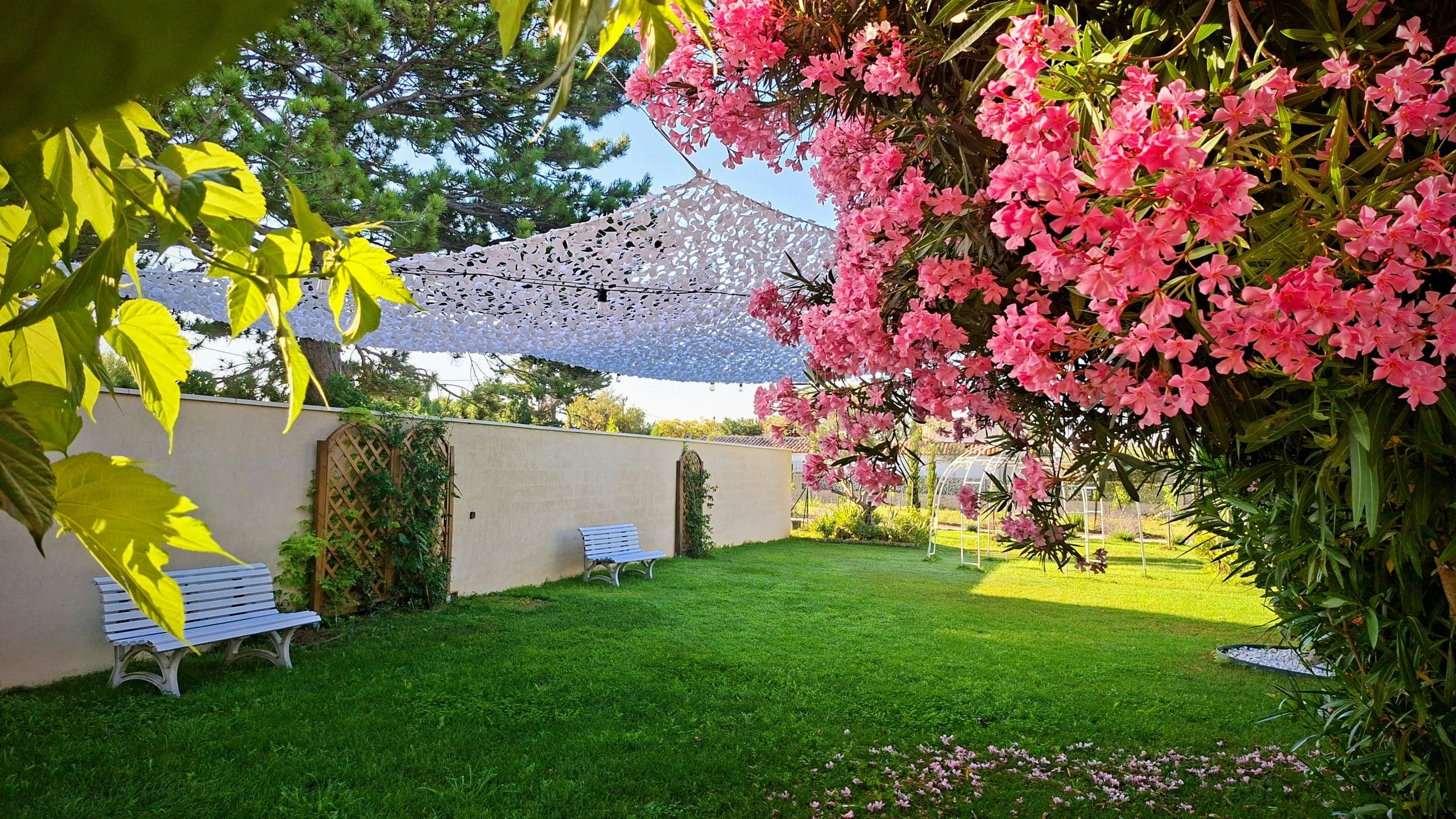 Domaine Le Platanium Réception - jardin arboré