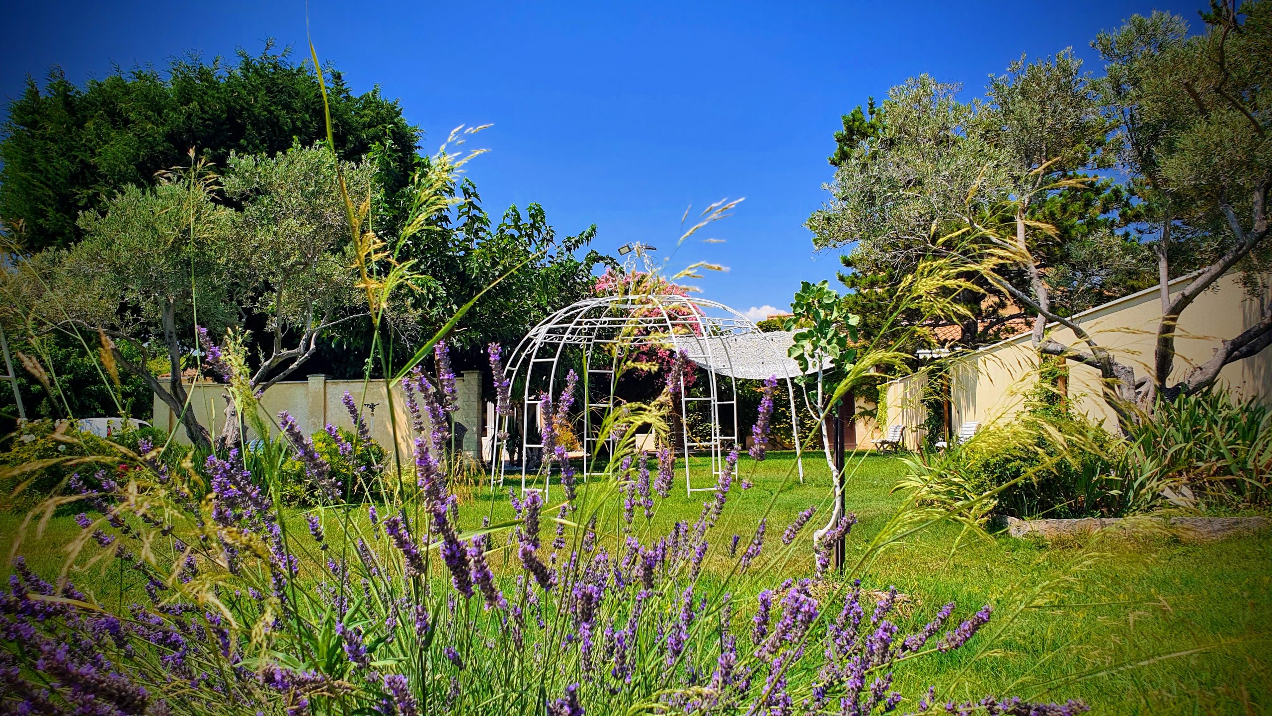 Lavande et ambiance provençale au Domaine Le Platanium Réception
